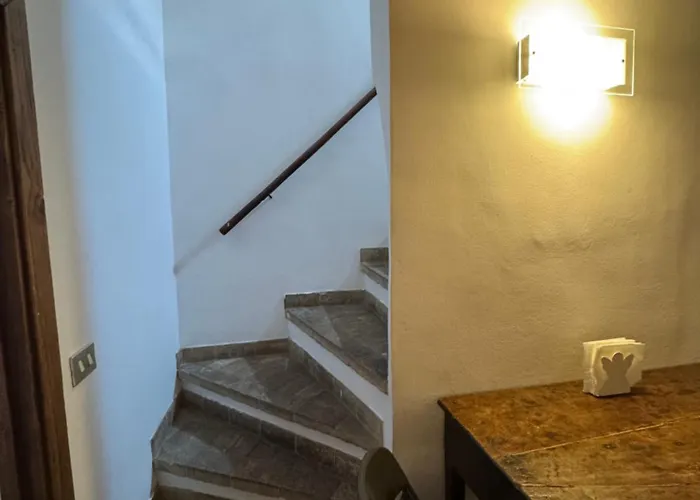 Navona Fox House 3 Roma