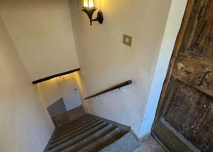 Navona Fox House 3 * Roma